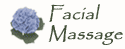 Step by step facial massage!